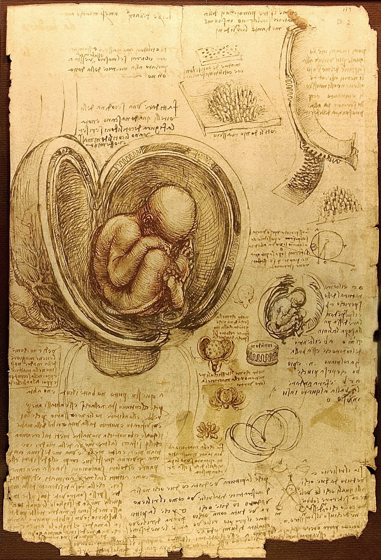 Leonardo da Vinci